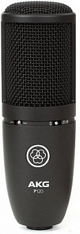 AKG P120