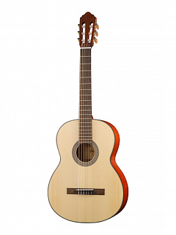 CORT AC200-OP-w/bag