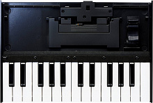 ROLAND K-25m