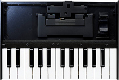 ROLAND K-25m
