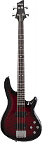 SCHECTER C-4 Plus STCB