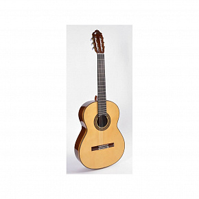 ESTEVE 12 SP +