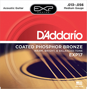 D'ADDARIO EXP17