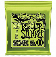 ERNIE BALL P02221