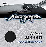 ������ DM2