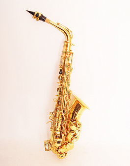 CONDUCTOR FLT-SAL