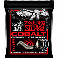 ERNIE BALL P02730