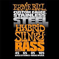 ERNIE BALL P02843