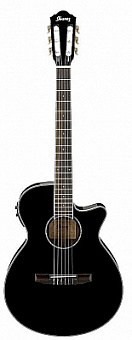 IBANEZ AEG10NII-BK