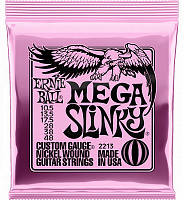 ERNIE BALL P02213