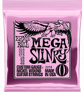 ERNIE BALL P02213