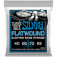 ERNIE BALL 2815