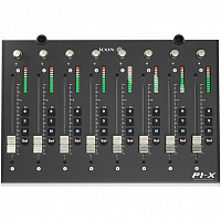 ICON P1-X