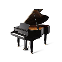 KAWAI GX-2 M/PEP