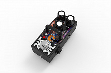 AMT CD-2