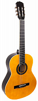 ARIA FIESTA FST-200 N
