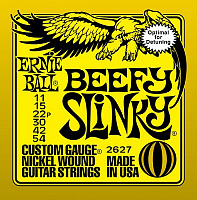 ERNIE BALL P02627