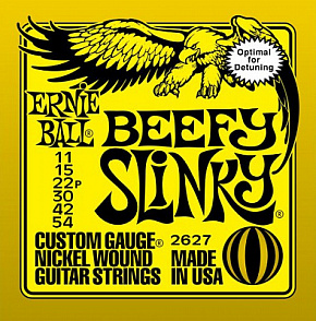 ERNIE BALL P02627
