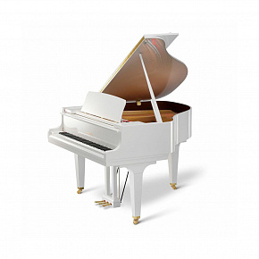 KAWAI GL-20 WH/P ID