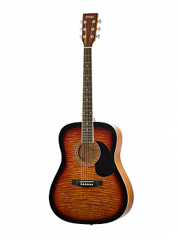 HOMAGE LF-4110T