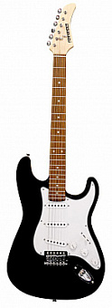 FERNANDES LE-1Z 3S BLK/L