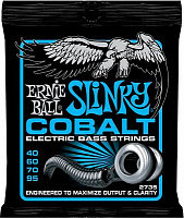 ERNIE BALL P02735