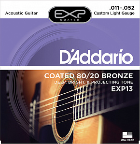 D'ADDARIO EXP13