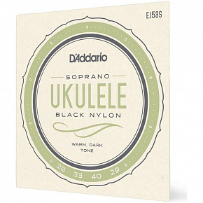 D'ADDARIO EJ53S
