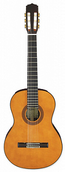 ARIA A-30S N