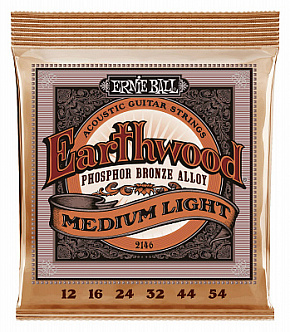 ERNIE BALL P02146