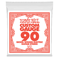 ERNIE BALL 1691