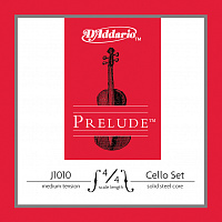 D'ADDARIO J1010-4/4M