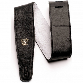 ERNIE BALL 4137