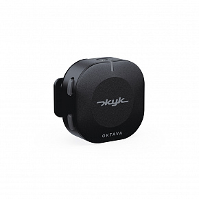 ������ ZHUK-1-CH