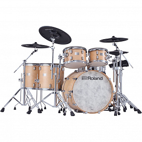 ROLAND VAD716-GN + VAD716-1 + KD-22-GN + DTS-30S