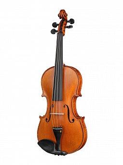 GLIGA P-V044