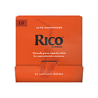 RICO RJA0120-B25