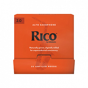 RICO RJA0120-B25