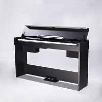 MEDELI CDP5000-BK