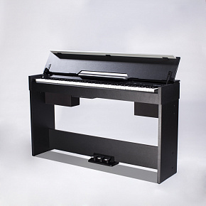 MEDELI CDP5000-BK