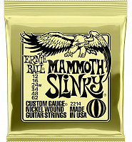 ERNIE BALL P02214