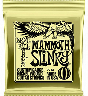 ERNIE BALL P02214