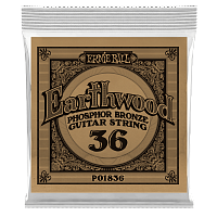 ERNIE BALL 1836