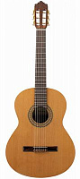 ALTAMIRA N100+