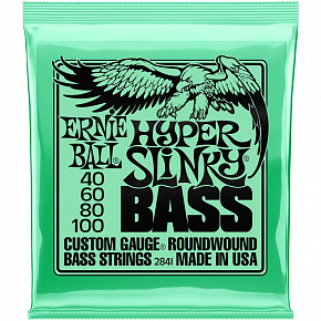 ERNIE BALL 2841