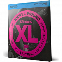 D'ADDARIO EXL170SL