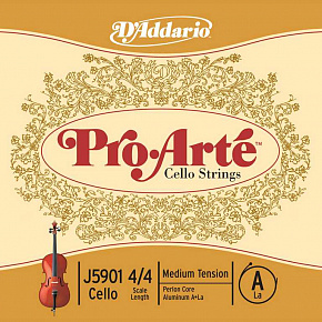 D'ADDARIO J5901-4/4M-B10