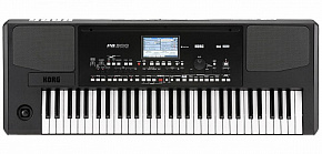 KORG Pa300