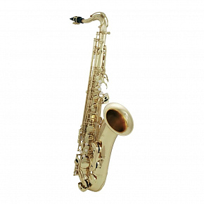 ROY BENSON TS-302 Bb