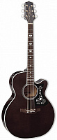 TAKAMINE GN75CE TBK